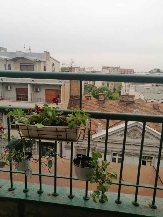 Apartman Centar Beograd Exterior foto